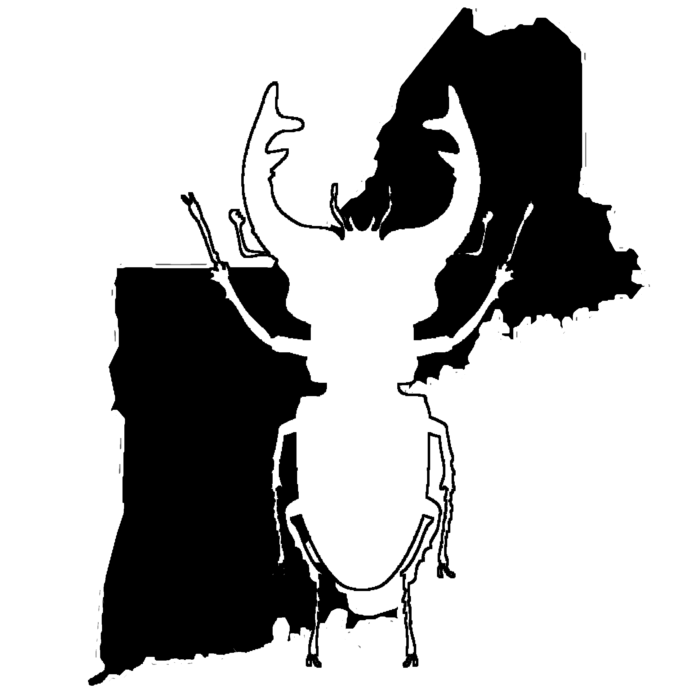 ©2023 New England Insectarium